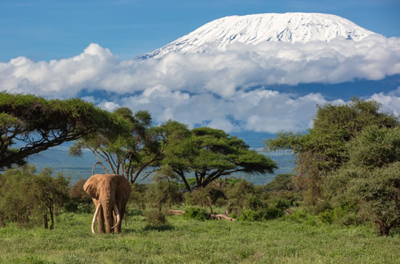 3 Days Amboseli Budget Camping Safari